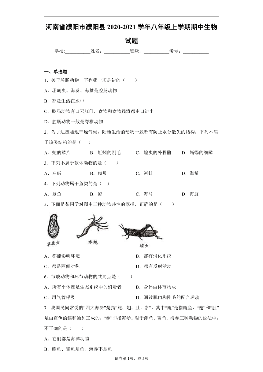 河南省濮阳市濮阳县2020-2021学年八年级上学期期中生物试题（word版 含答案）