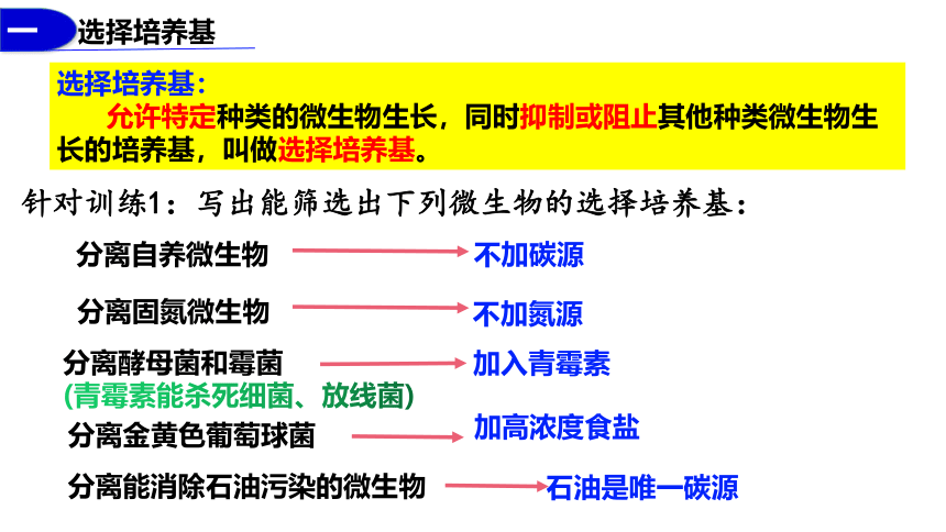 1.2.2微生物的选择培养与计数课件(共28张PPT)-第二课时人教版选择性必修3