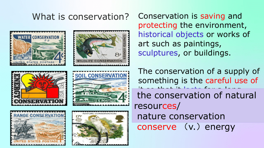 北师大版（2019）选择性必修第一册Unit 3 Conservation Topic Talk 课件(共27张PPT，捏镶嵌音频)