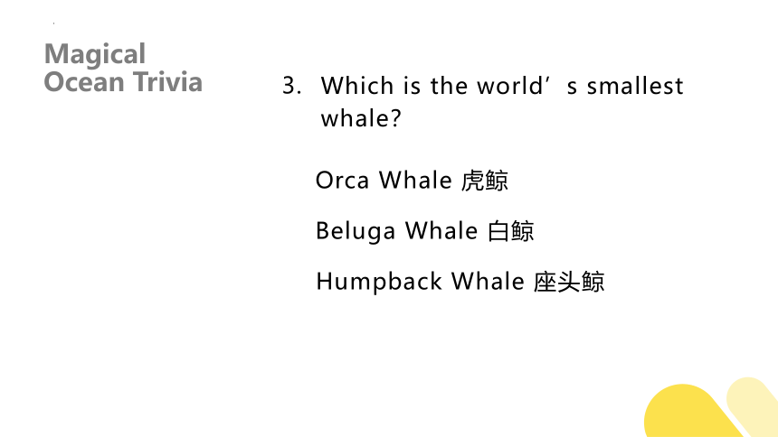 人教版（2019）选择性必修 第四册Unit 3 Sea Exploration Using Language Listening and Speaking 课件(共41张PPT)