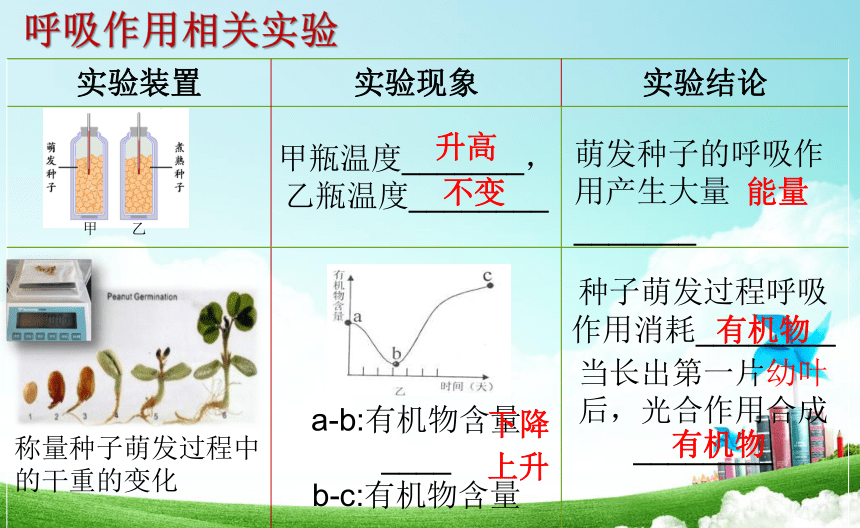 6.2  绿色植物的呼吸  课件-2023-2024学年京改版生物七年级下册(共21张PPT)