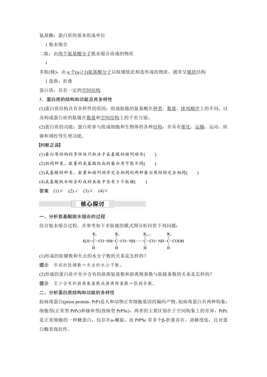 2022-2023学年苏教版2019高中生物必修1 第一章 第三节 第1课时　细胞的功能主要由蛋白质完成（学案+课时对点练 word版含解析）