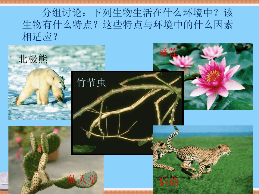 济南版八年级生物下册6.1.2生物对环境的适应与影响课件(共29张PPT)