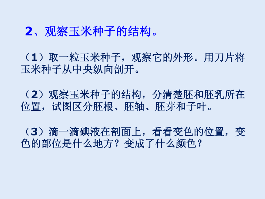 人教版七年级生物 上册 第三单元 第一章 第二节 种子植物 课件（2课时，共48张PPT）