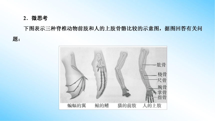 【课件版学案】6-1 生物有共同祖先的证据&6-2 自然选择与适应的形成  人教版2019必修2(共43张PPT)