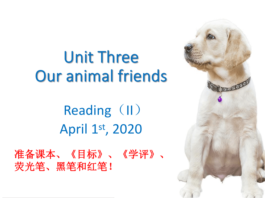 Unit 3 Our animal friends. Reading2课件(共24张PPT)2022-2023学年牛津深圳版英语七年级下册