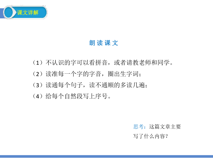 17我变成了一棵树 课件 (共25张PPT)