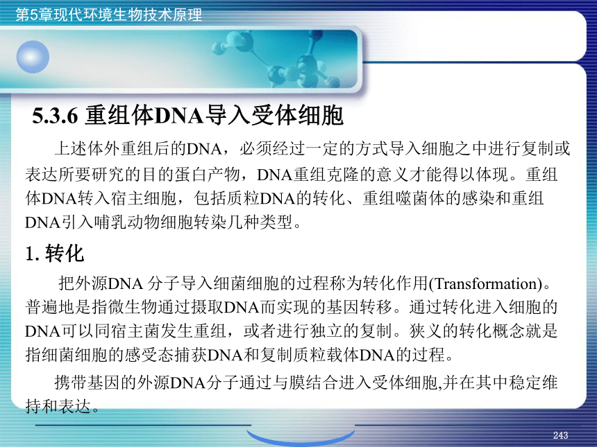 5.现代环境生物技术原理_9 课件(共27张PPT）- 《环境生物化学》同步教学（机工版·2020）