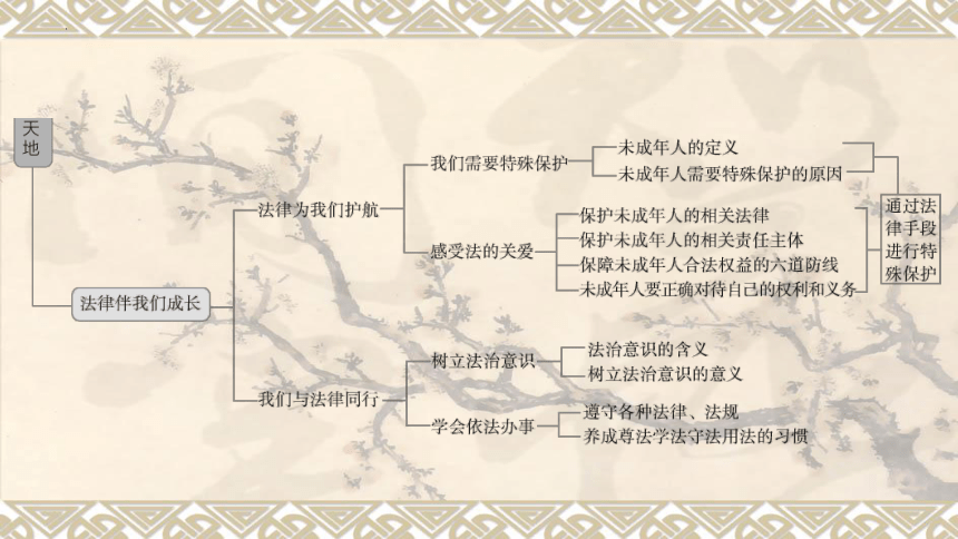 七年级下册 第四单元 走进法治天地 复习课件（49 张ppt）   -2024年中考道德与法治一轮复习