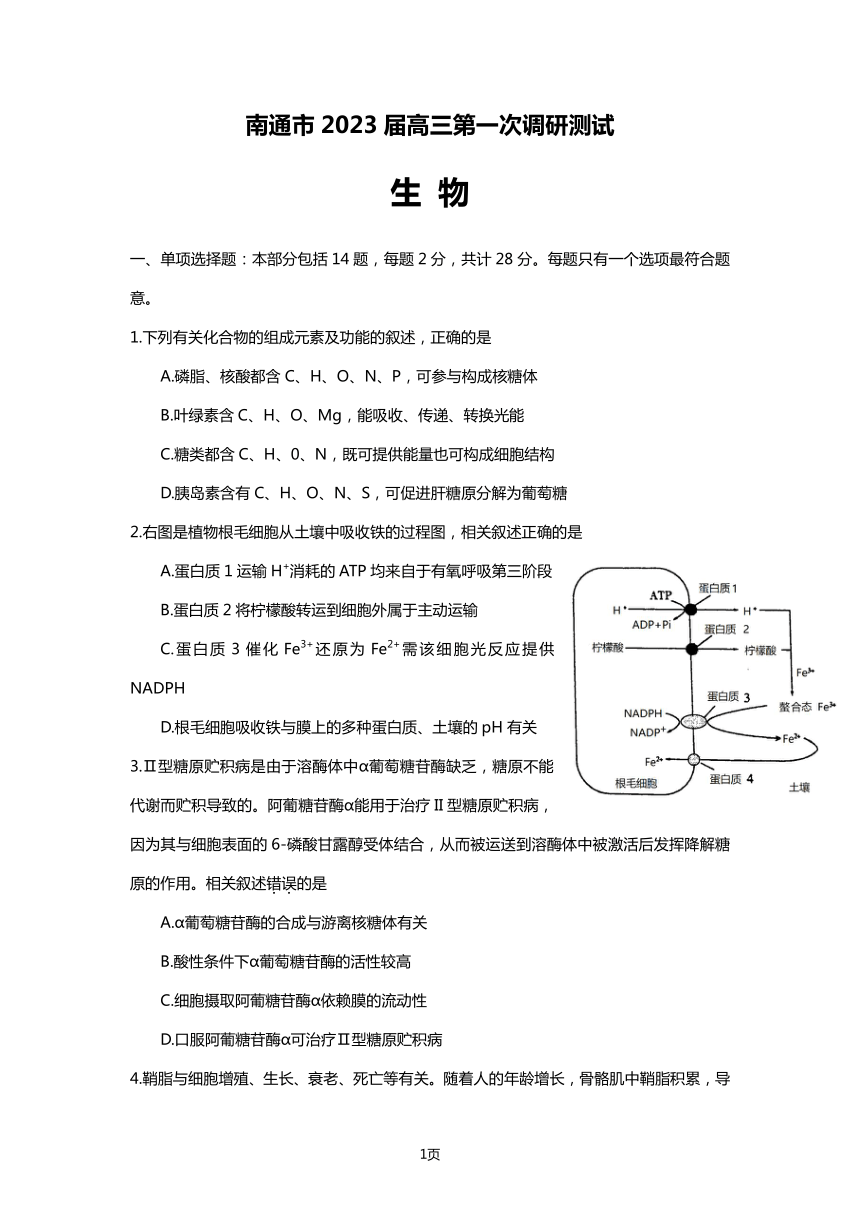江苏省南通市2023届高三下学期2月第一次调研测试（一模）生物试（含答案）