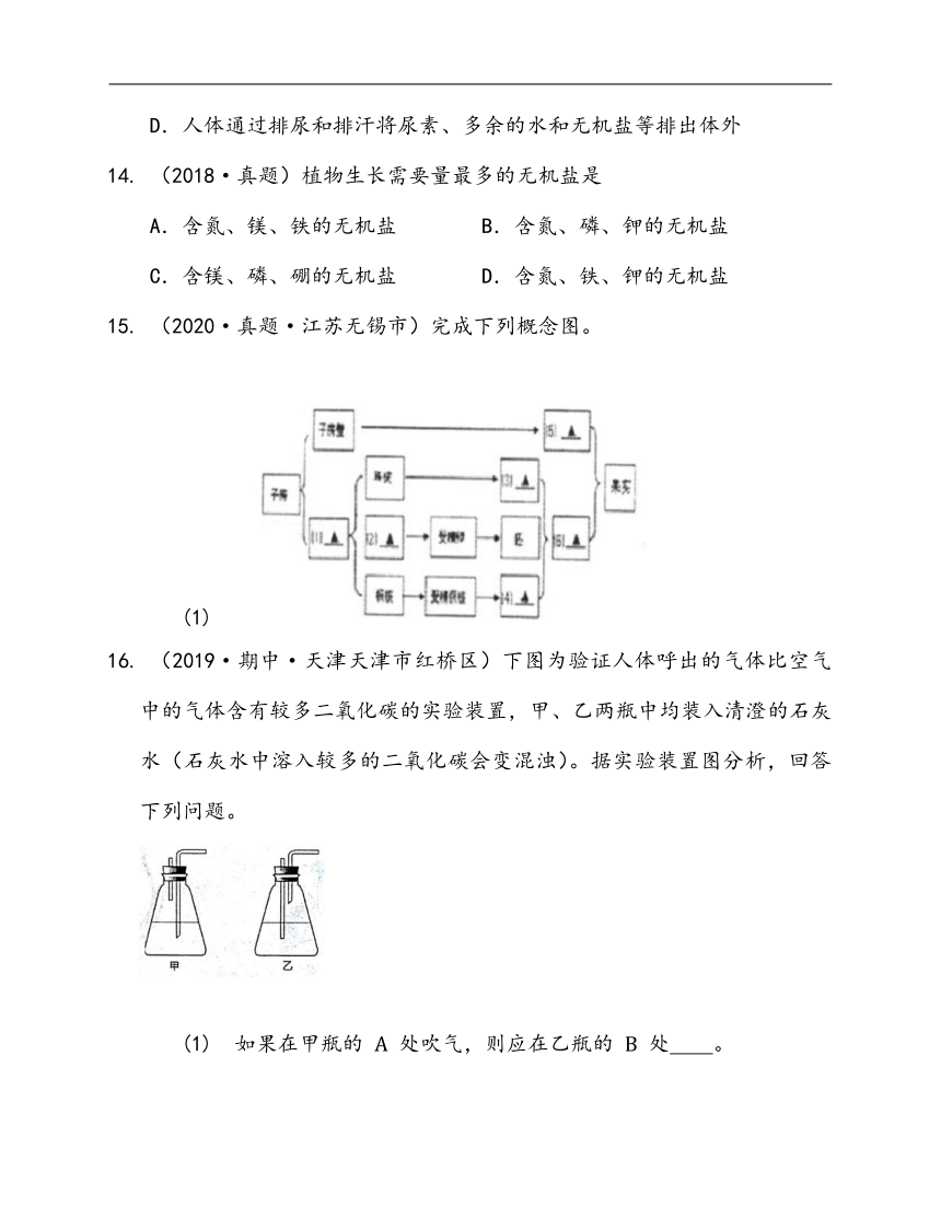 2020-2021学年人教版七年级生物上册第三单元第二章被子植物的一生单元练习(word版含答案解析）