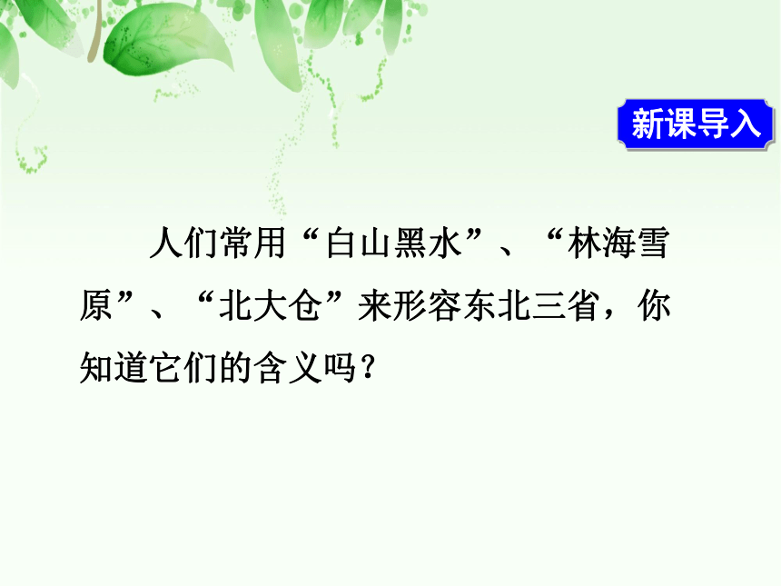 人教版（新课程标准）八年级下册第六章北方地区第二节白山黑水东北三省（共44张PPT）