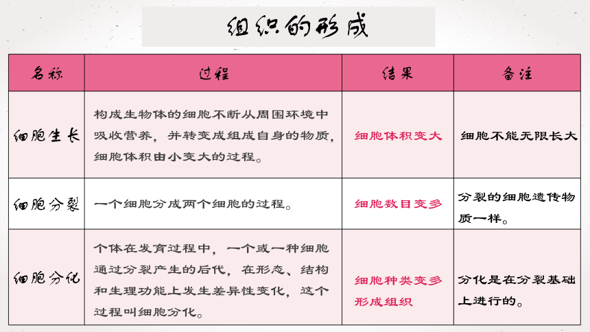 2.2.2  动物体的结构层次课件 (共21张PPT)2022--2023学年人教版生物七年级上册