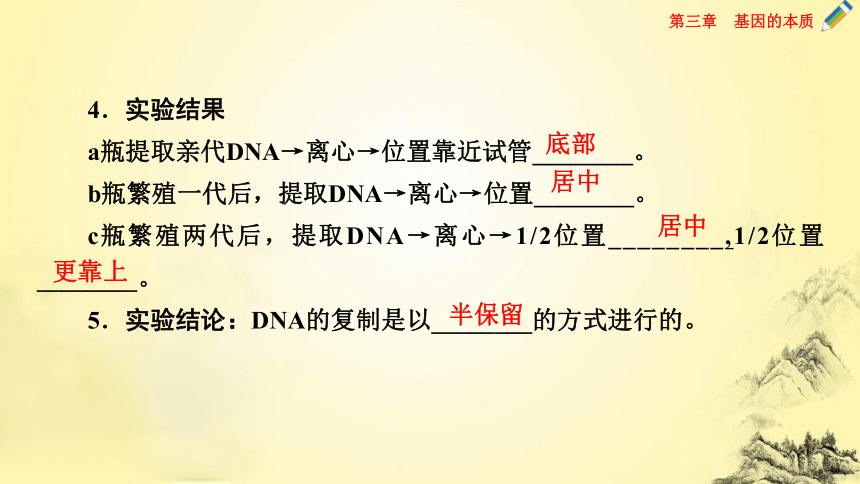 【课件版同步学案】人教版（2019）必修二 3.3 DNA的复制(共54张PPT)