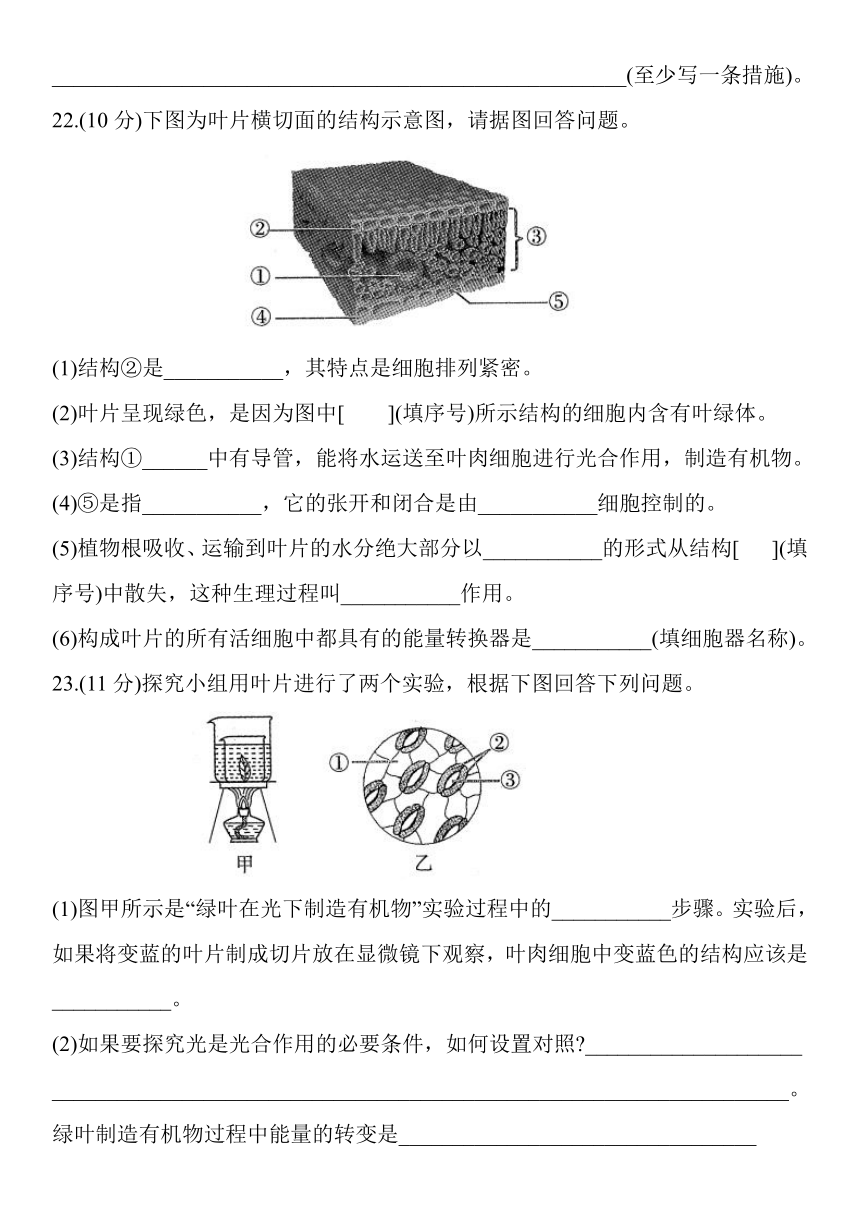 人教版七年级生物上册第三单元生物圈中的绿色植物（第三～六章）基础检测题（Word版含答案）