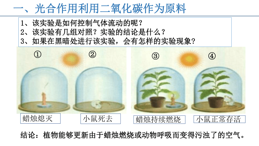 2022-2023学年人教版七年级生物上册 3.5.1光合作用吸收二氧化碳释放氧气 课件   (共20张PPT)