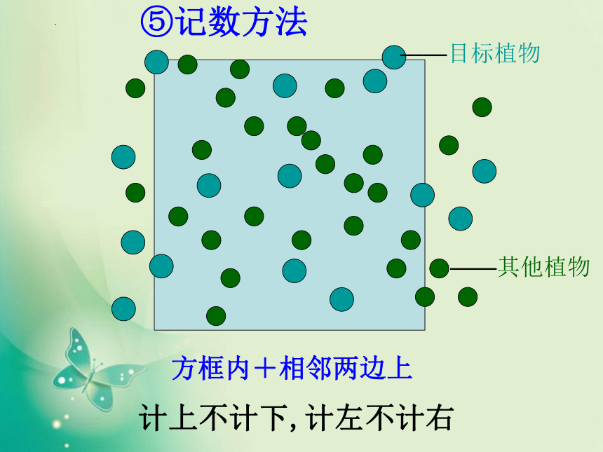 4.1种群的特征课件（44张ppt）2021-2022学年高二上学期生物人教版必修3