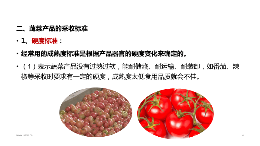 2.4蔬菜采收与采后处理技术 课件(共14张PPT)-《蔬菜生产技术》同步教学（中国农业出版社）