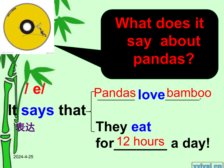Module 7《Unit 1 Pandas love bamboo》课件（14张PPT）