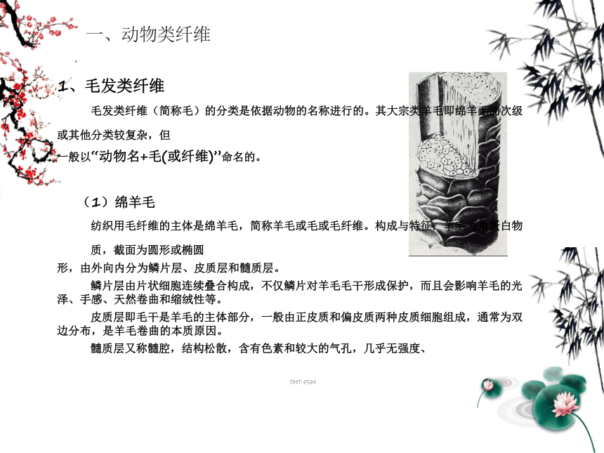 第一章 纤维的分类及发展2 课件(共23张PPT)《纺织材料学（第2版）》同步教学（纺织出版社）