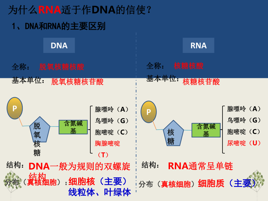 生物人教版（2019）必修2 4.1基因指导蛋白质的合成（共75张ppt）