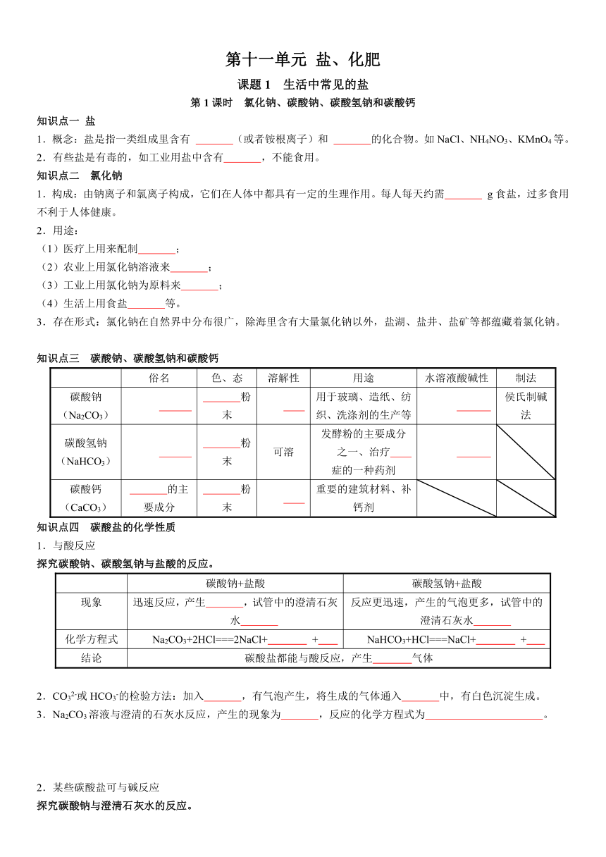 2020-2021学年人教版化学九年级下册 第十一单元 盐  化肥 知识点（无答案）