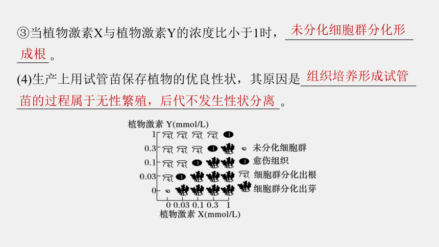 高中生物苏教版（2019）选择性必修3 生物技术与工程 第二章 微专题　植物细胞工程和动物细胞工程的综合考查（38张PPT）