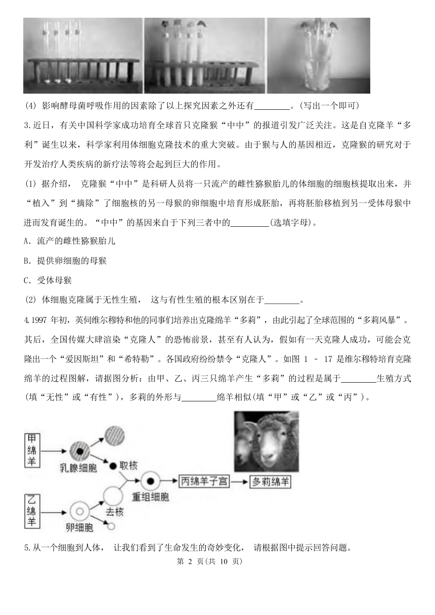 解答题2-期中分题型复习（第1章 代代相传的生命 含解析）