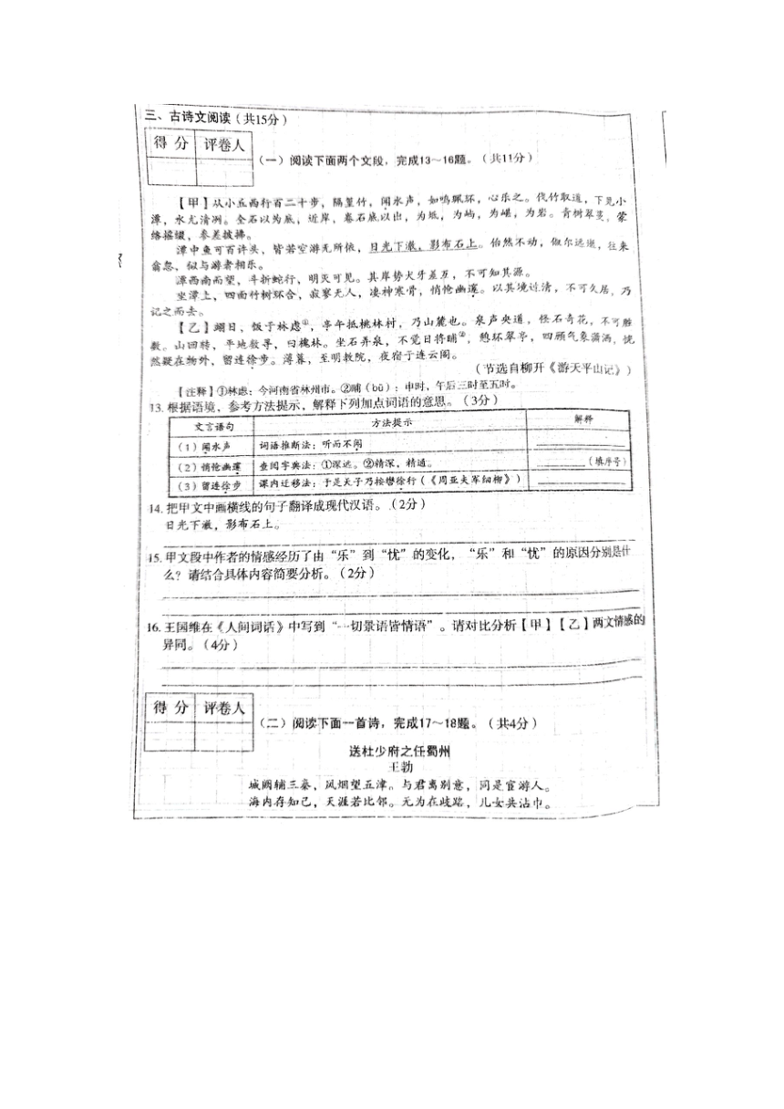 河南省周口市沈丘县2023-2024学年八年级下学期期中考试语文试题（含解析）