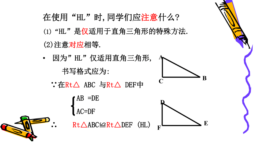 浙教版 八年级上册 2.8直角三角形的全等判定 课件(共20张PPT)
