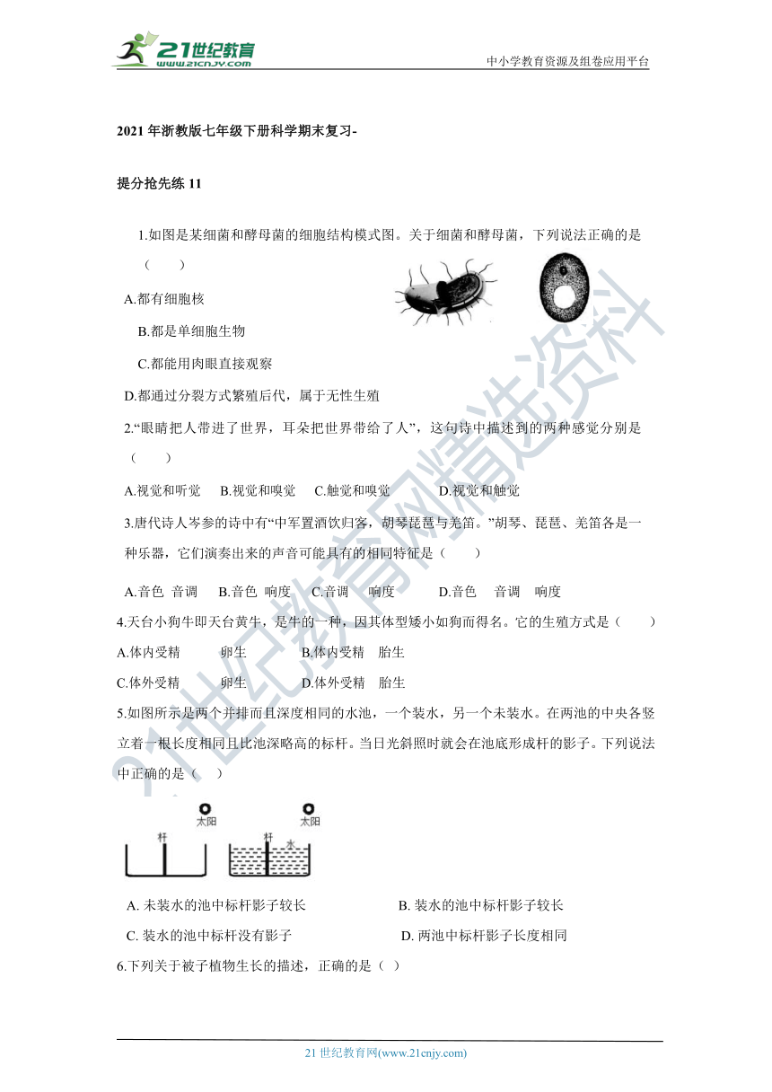 2021年浙教版七年级下册科学期末复习-提分抢先练11（含答案）