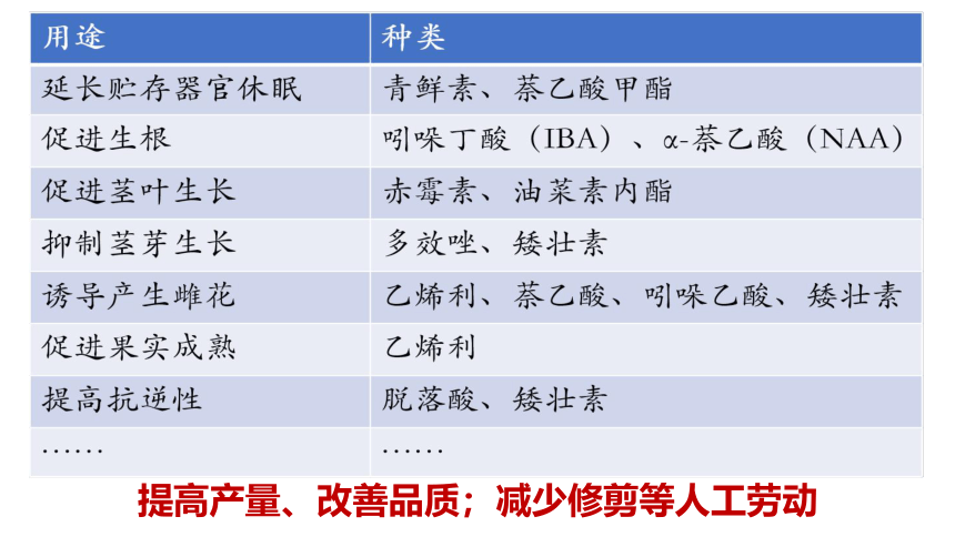 生物人教版（2019）选择性必修1 5.3植物生长调节剂的应用（共27张ppt）