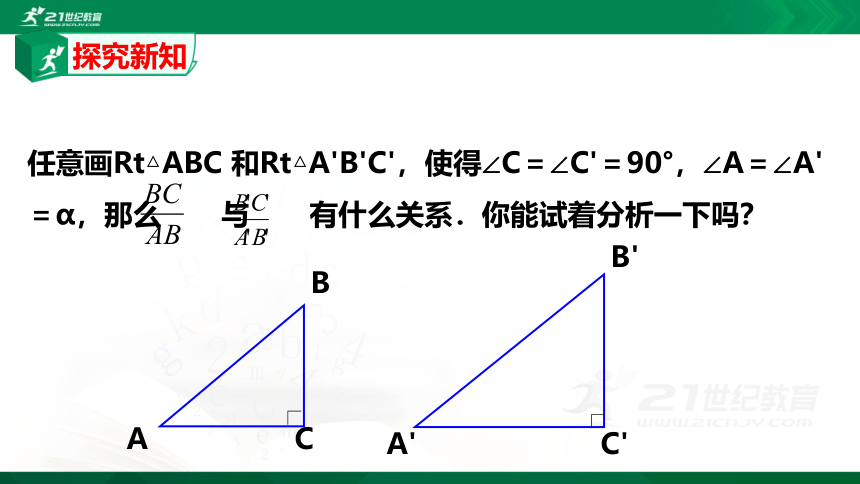 1.1.2 锐角三角函数（第2课时）  课件（共21张PPT）