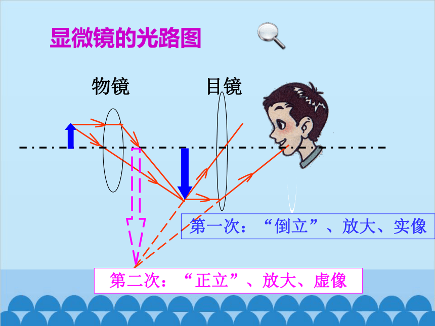 人教版物理八年级上册 第5章第5节 显微镜和望远镜课件(共23张PPT)