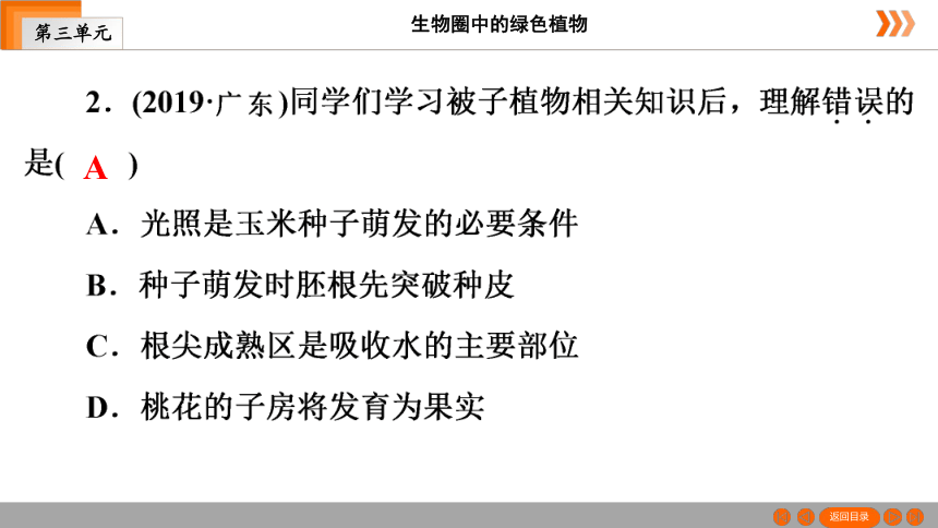 人教版生物七年级上册 第3单元　第2章被子植物的一生本章知识网络 课件（共26张PPT）