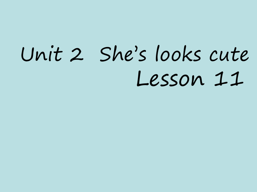 Unit2 She looks cute(Lesson11) 课件(共24张ppt)