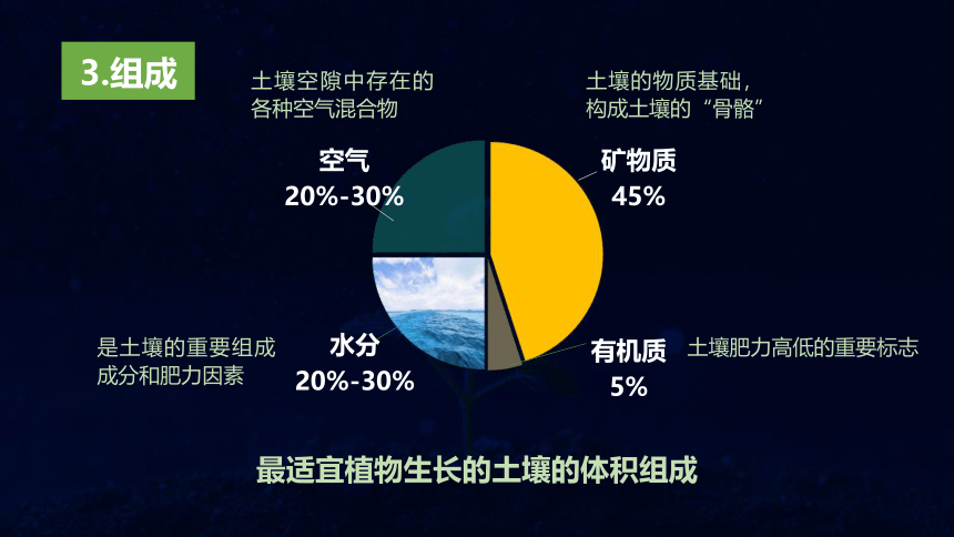 5.2  土壤的形成 课件（51页PPT）