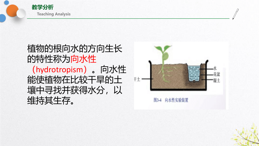 3.1植物生命活动的调节（课件 20张PPT 全）