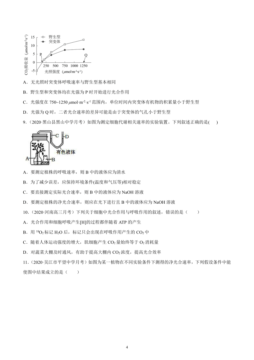 【高三生物新题专项汇编】考点05 光合作用和呼吸作用的综合（含解析）