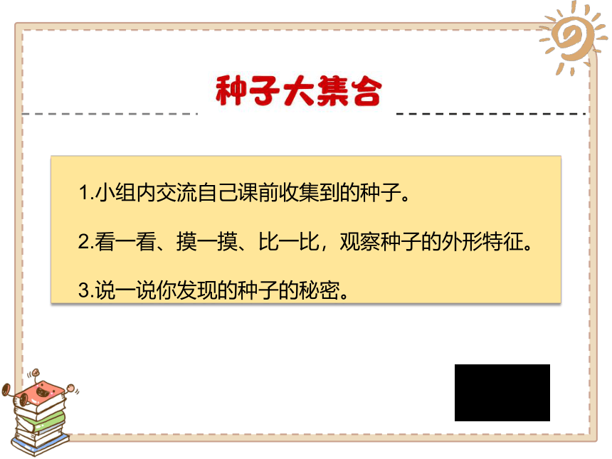 二年级下册道德与法治课件 - 4.试种一粒籽 （共25张PPT）