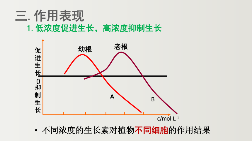 2021——2022学年高二上学期生物人教版必修3  3.2生长素的生理作用课件(共31张PPT)