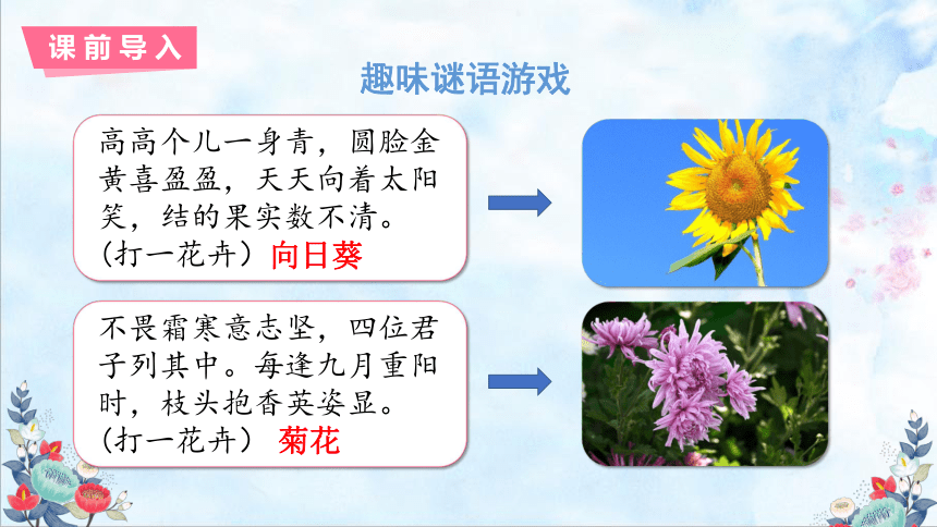 4花之歌   课件（22张PPT)