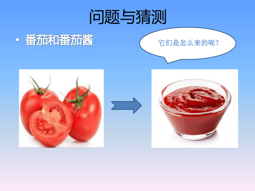 青岛版（五四制2017秋）一年级下册5.15番茄与番茄酱（课件10ppt）