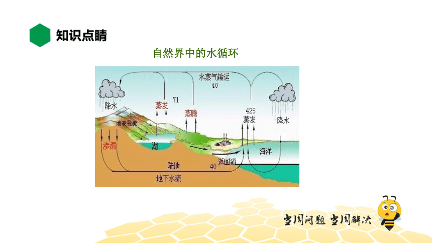 物理八年级-3.6【知识精讲】水循环与水资源（19张PPT）