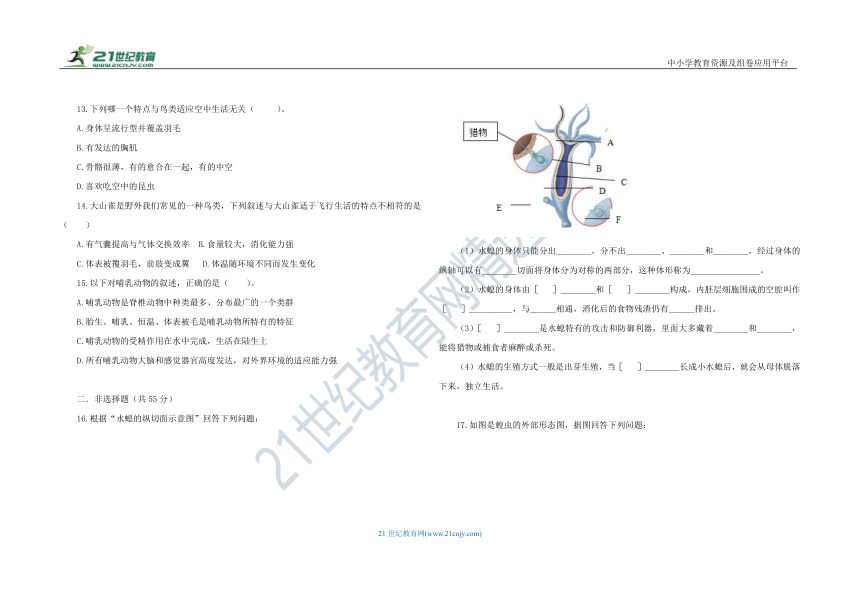 人教版八年级生物 上册 第五单元 第一章 动物的主要类群 单元测试 A卷（含答案）