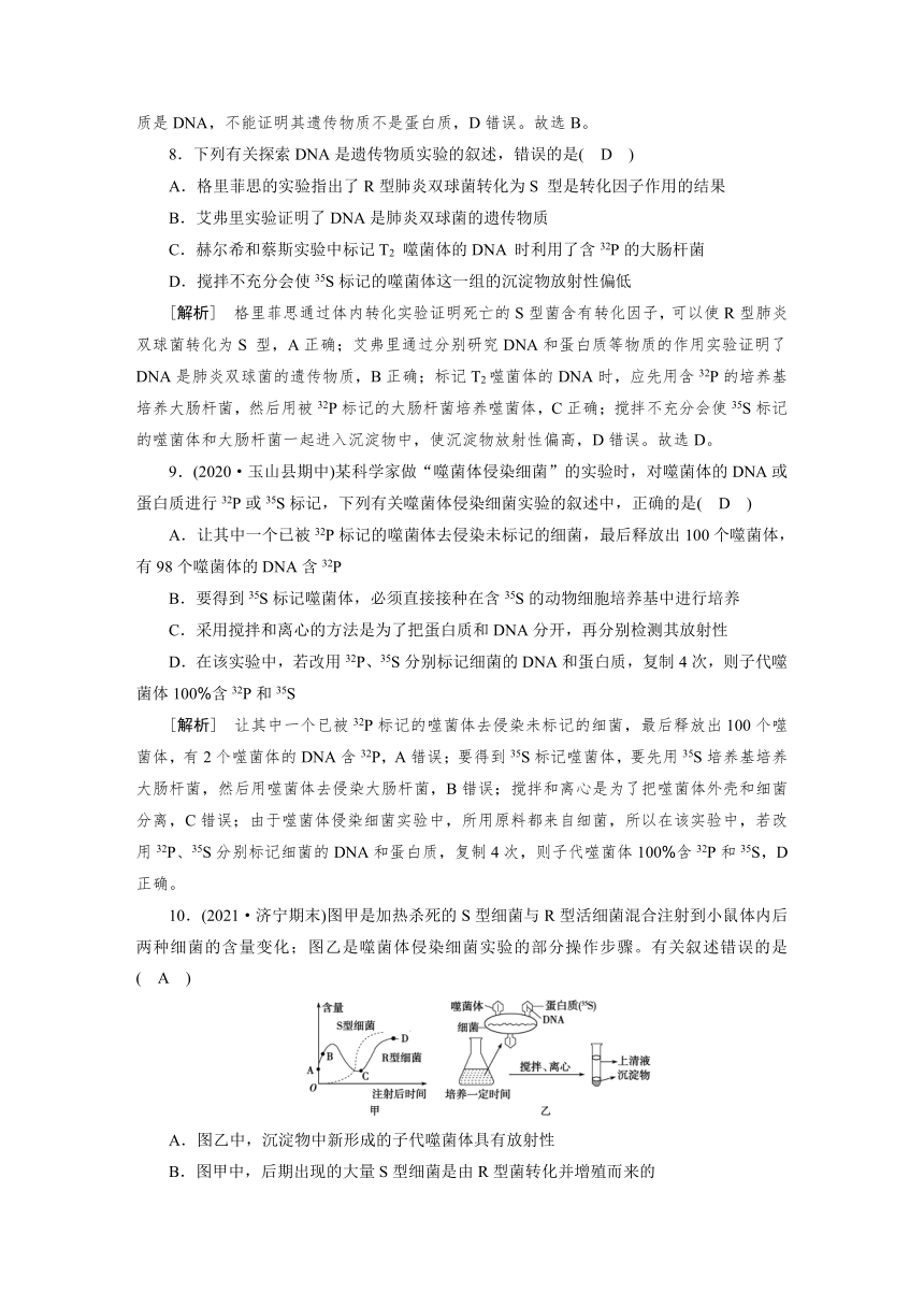 高中生物同步训练案 (17)DNA是主要的遗传物质（含答案详解）