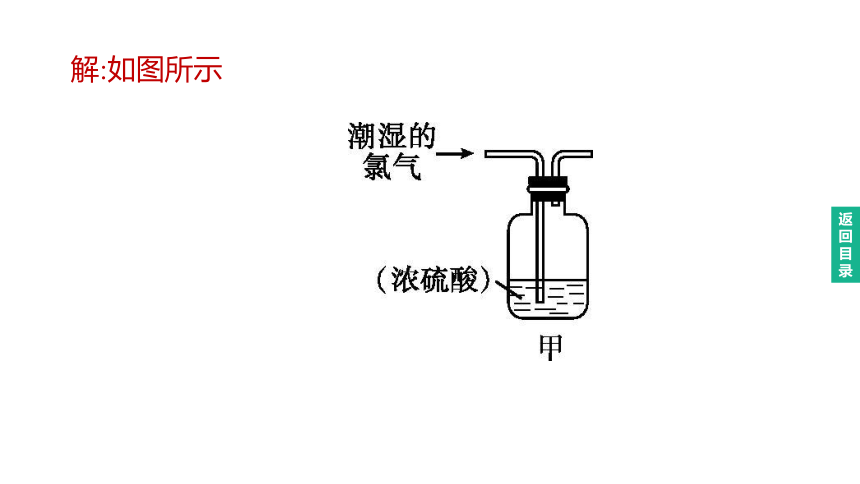 2023年中考化学（人教版）总复习二轮复习课件：专题06    科学探究题(共43张PPT)