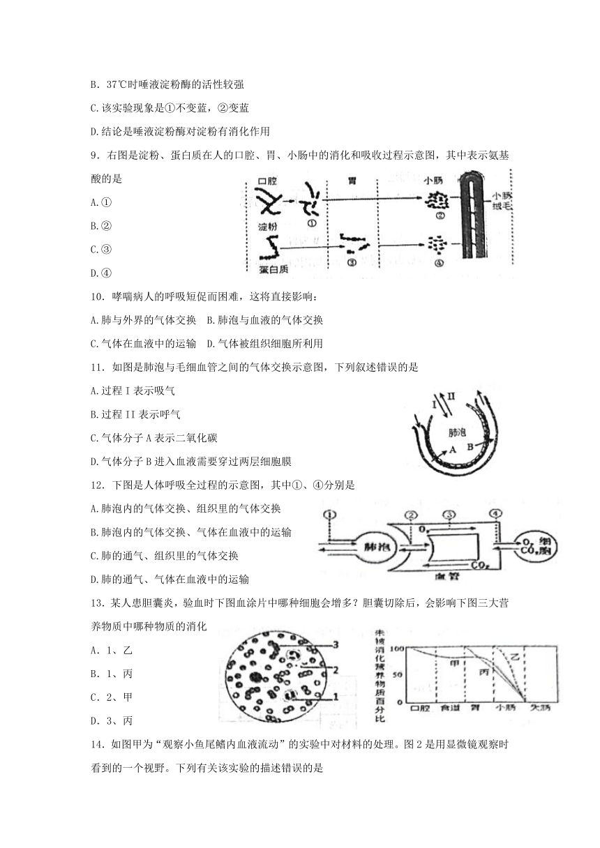 山东省东营市广饶县（五四学制）2021-2022学年七年级上学期期末生物试题（word版无答案）