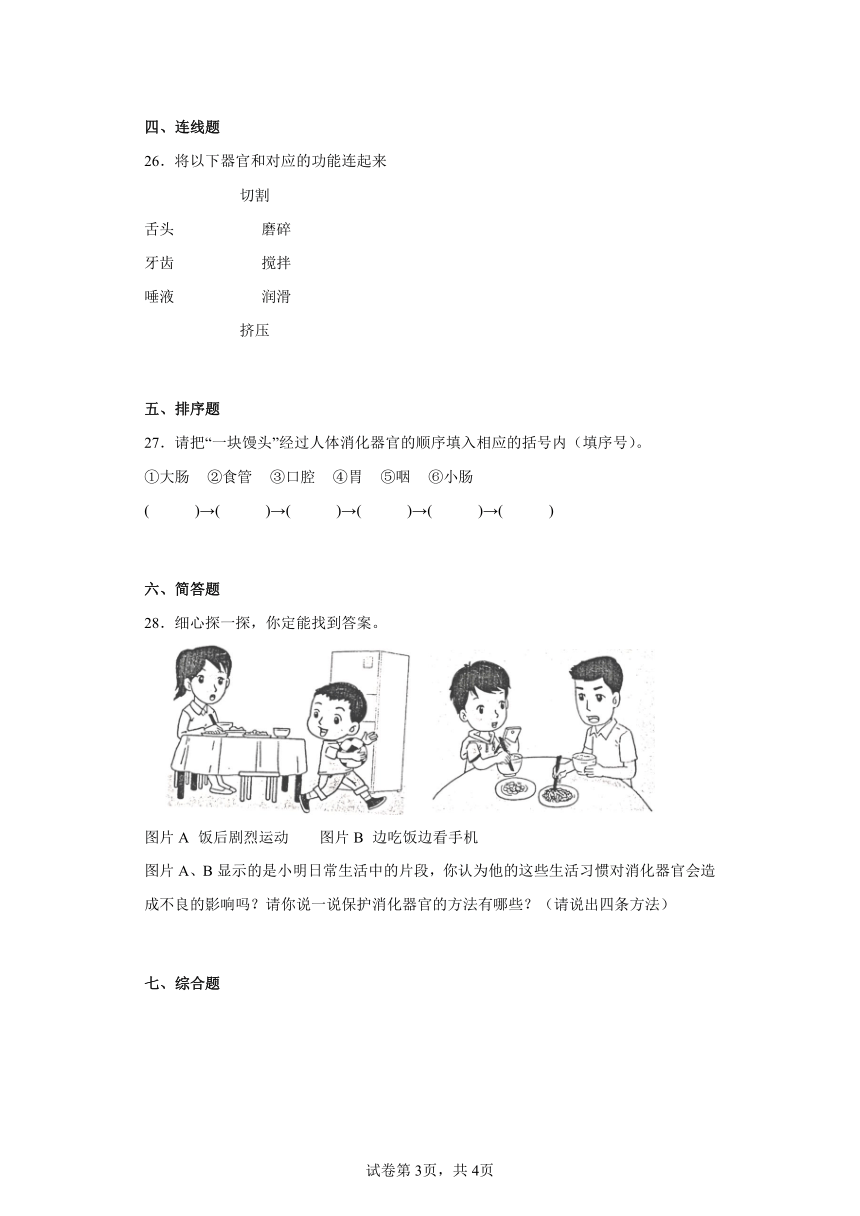 大象版（2017秋）四年级科学上册第五单元过关测试题人体的消化器官（二）含答案