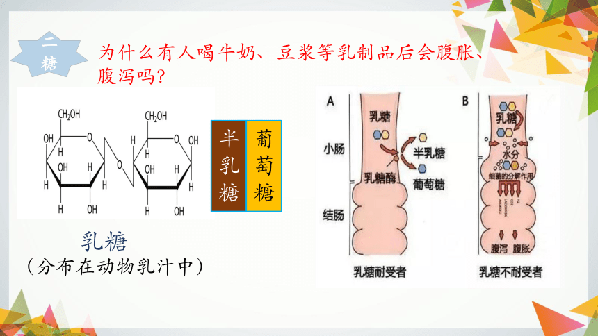 生物人教版（2019）必修1 2.3细胞中的糖类和脂质（共39张ppt）